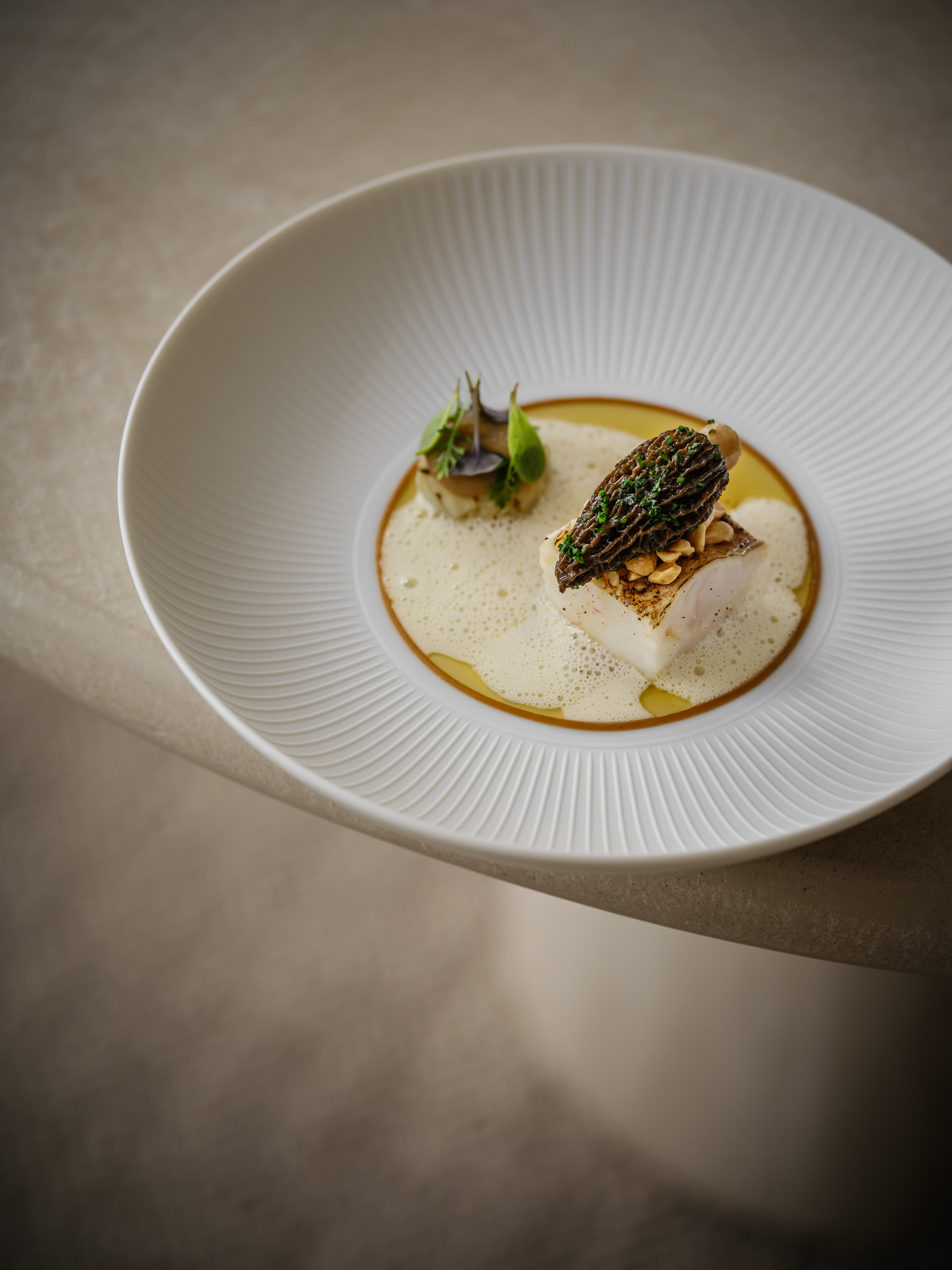 alma – jan 2024 – 313