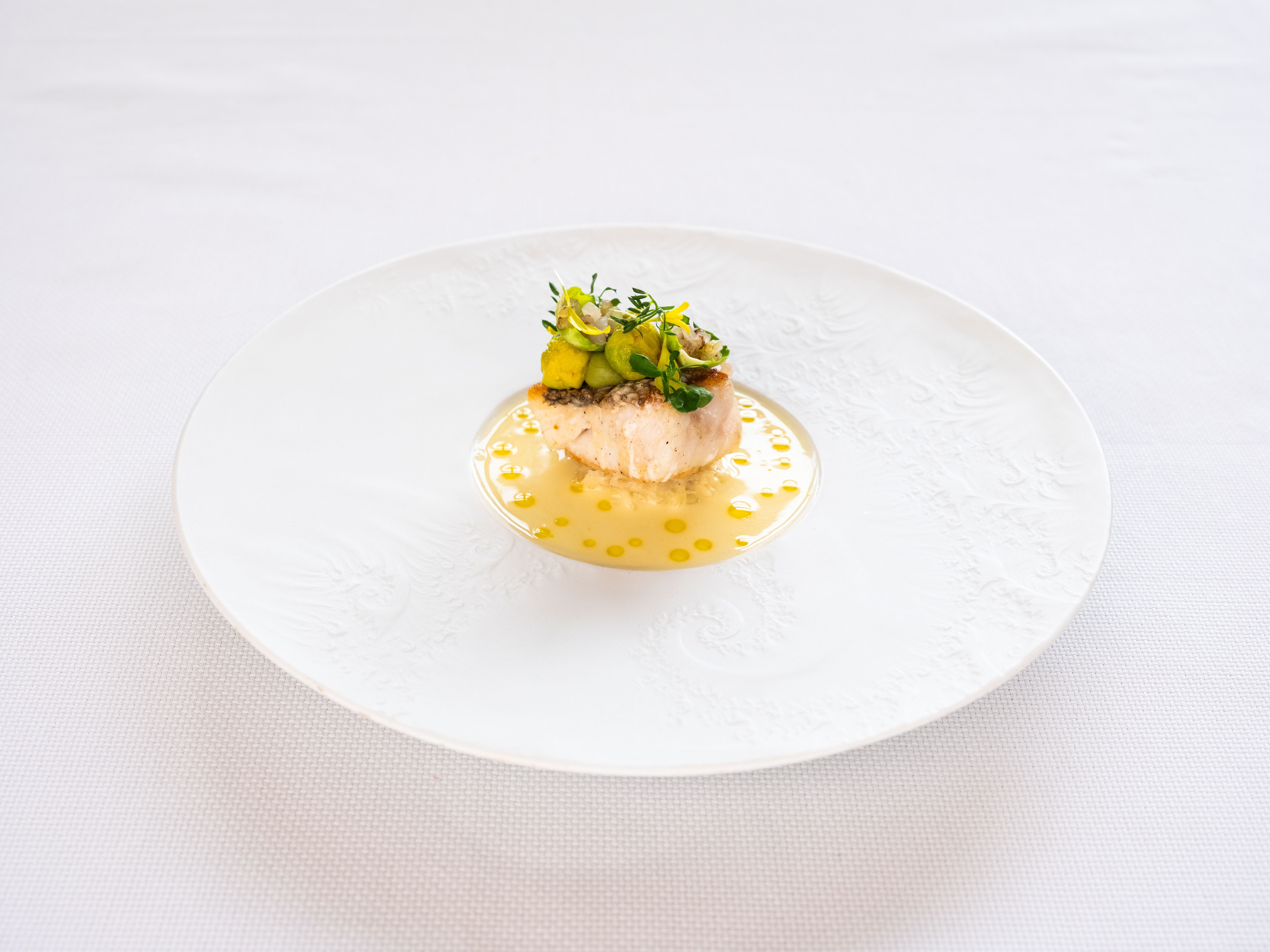 Merlet.29.jan.2024-55