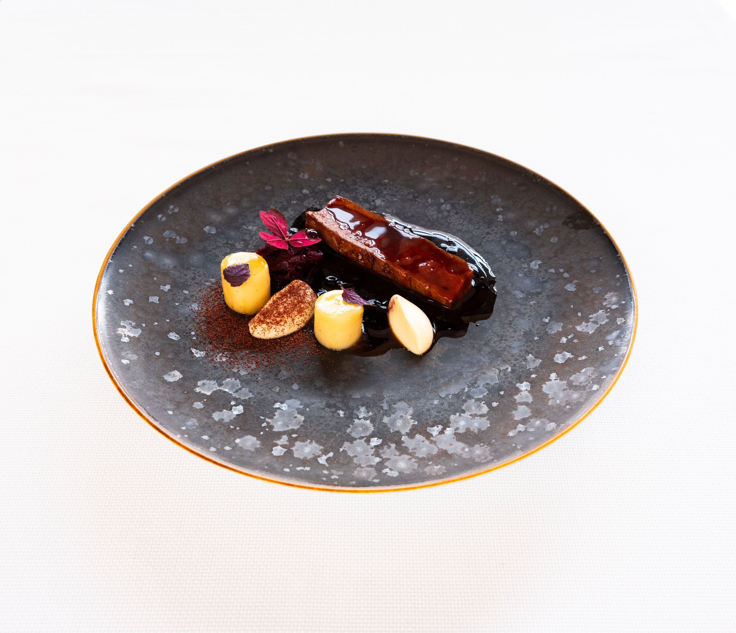 Merlet.29.jan.2024-94